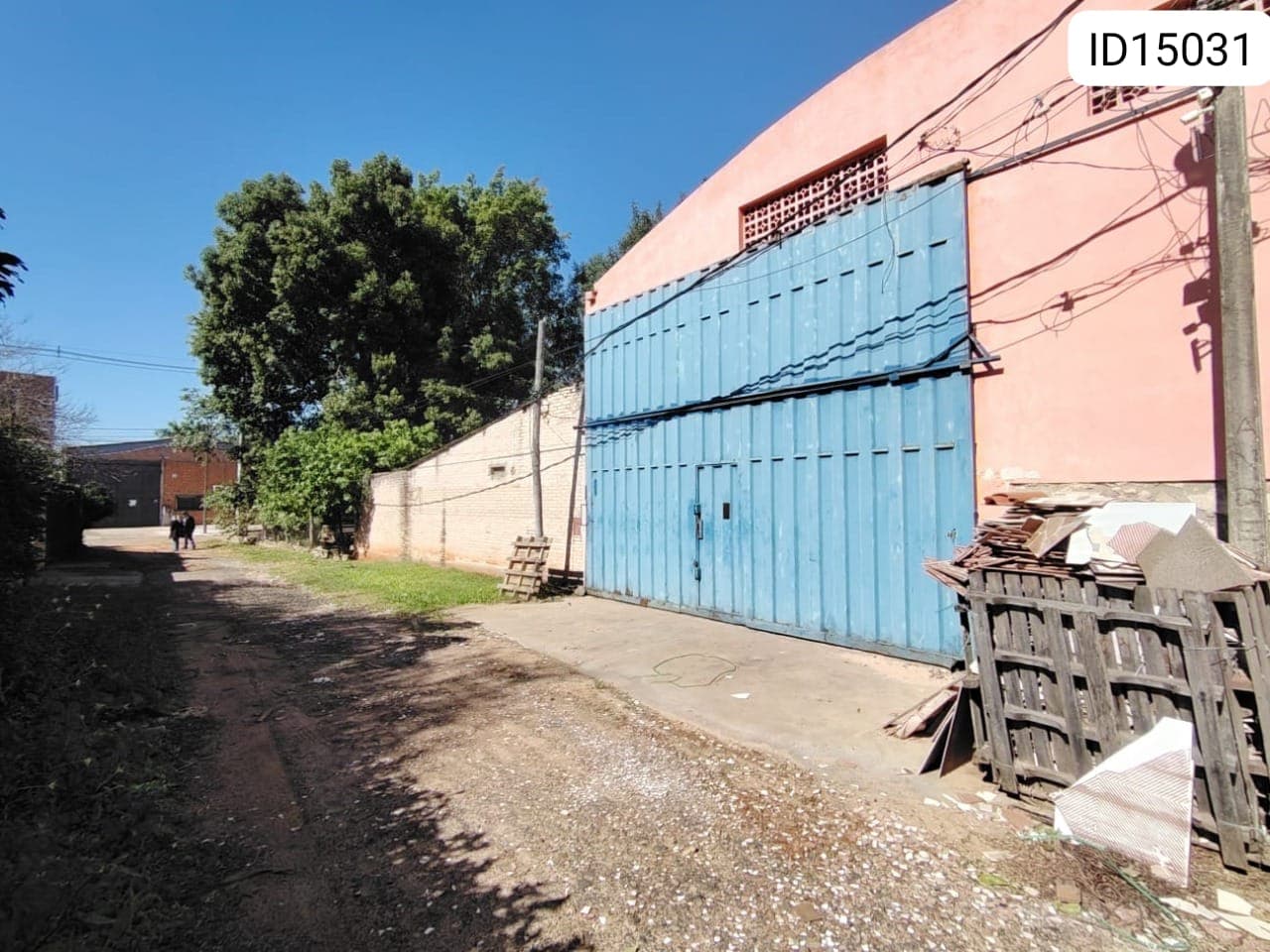 Alquilo tinglado en mariano