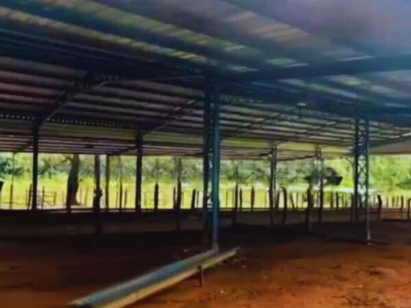 En Venta 50 Ha en Piribebuy, foto 4
