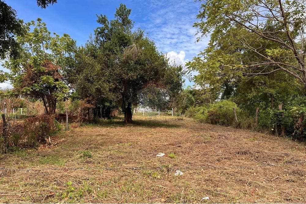 Terreno de 624 m2 en Jardín De Oro Luque