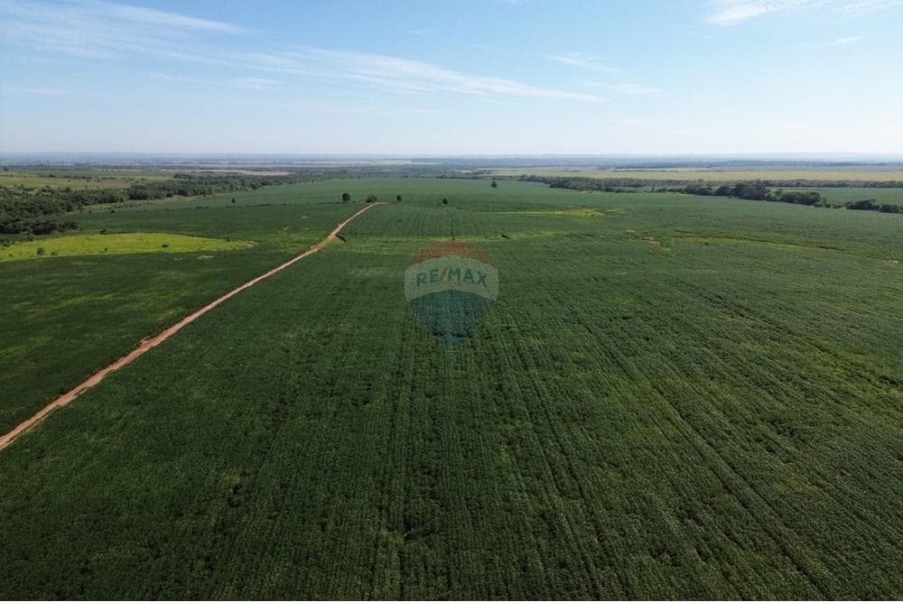 Estancia/campo - Venta - Simón Bolívar, Paraguay, foto 1