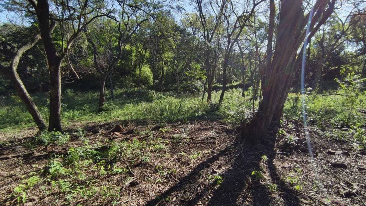 Oportunidad Única: Amplio Terreno en Zona Residencial de Alto Crecimiento Luque