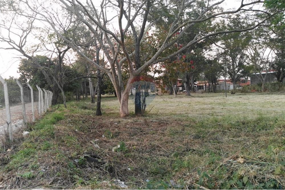 Gran Terreno en Fdo de la Mora Zona Norte, foto 4