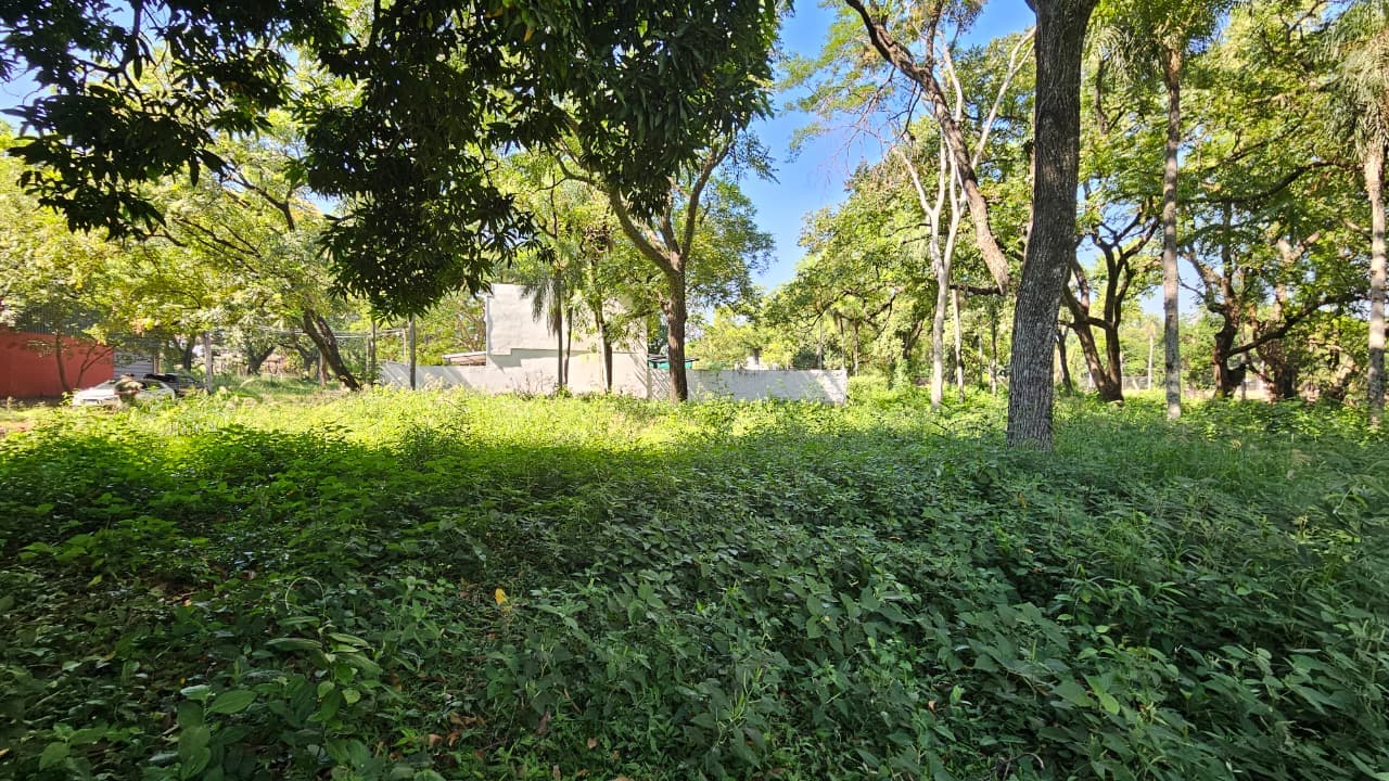 Terrenos con mejor precio en la zona sek / plaza de los mangos en Lambaré — foto 4