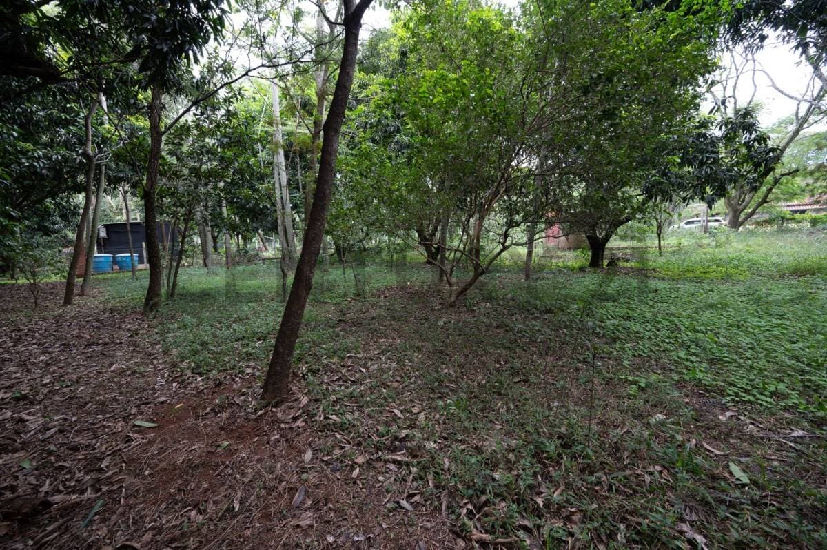 de Terreno en Altos, Cordillera, foto 1