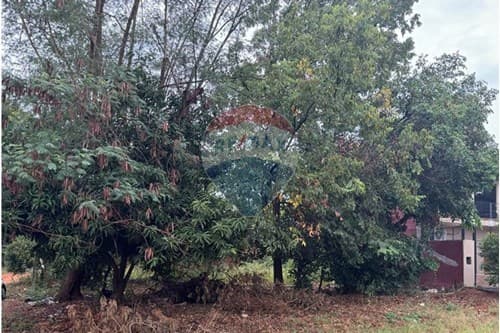 Terreno en Luque, foto 2