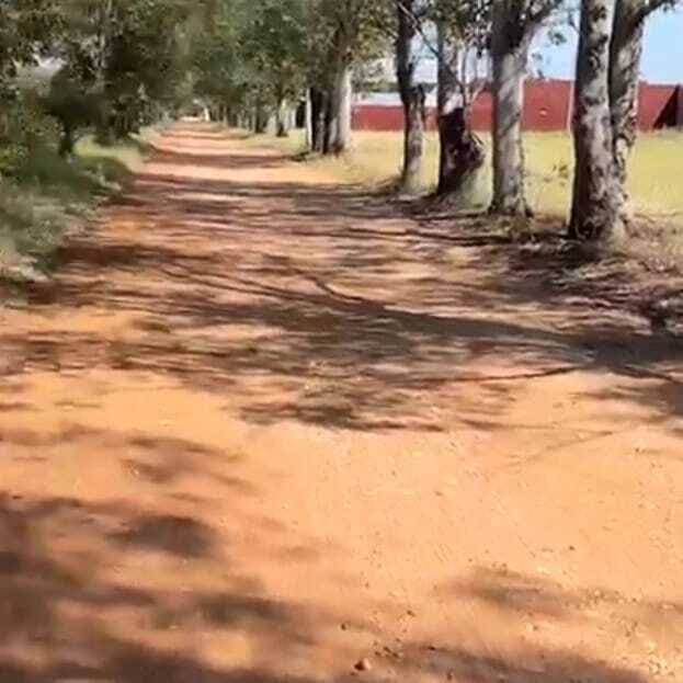 San Ber El Cortijo se vende amplio terreno — foto 2