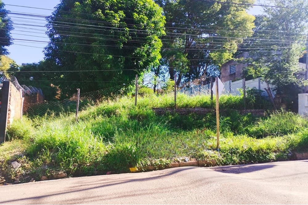 Terreno zona san isidro lambare, foto 1