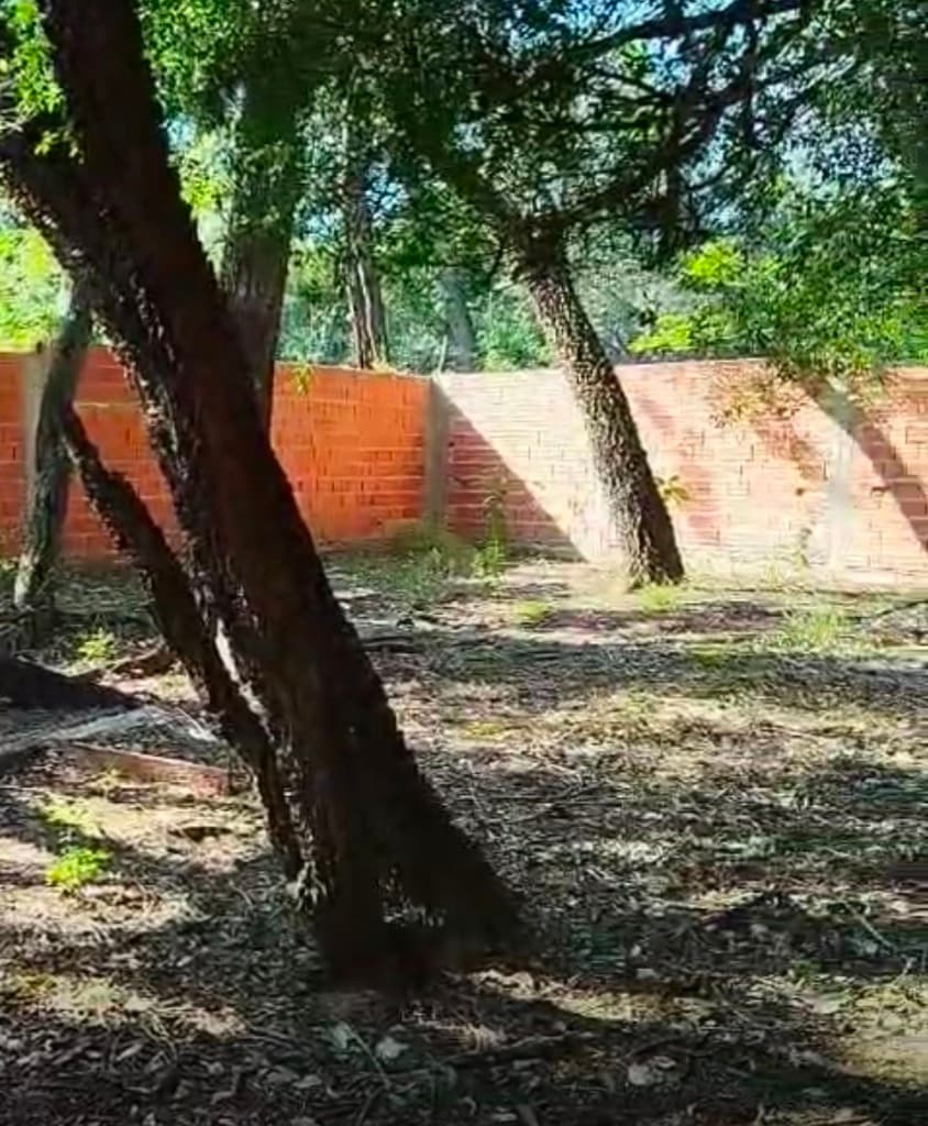 De terreno en centro de San Bernardino, foto 3