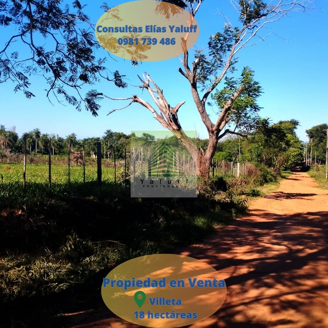 Terreno 18 Has En Villeta Tacuaty — foto 4