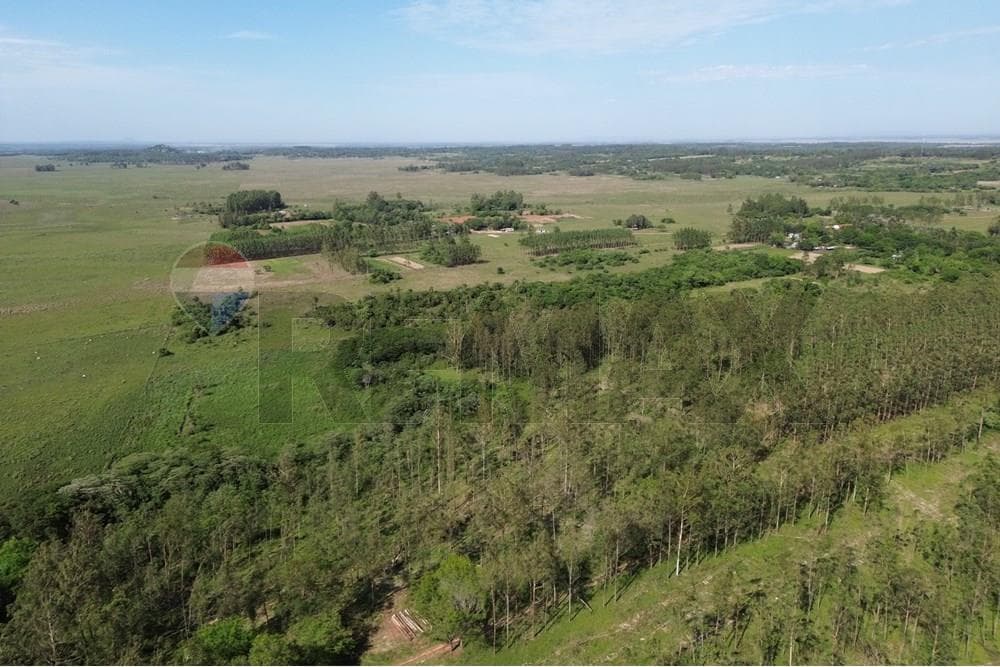 Estancia en caaguazu coronel oviedo, foto 5