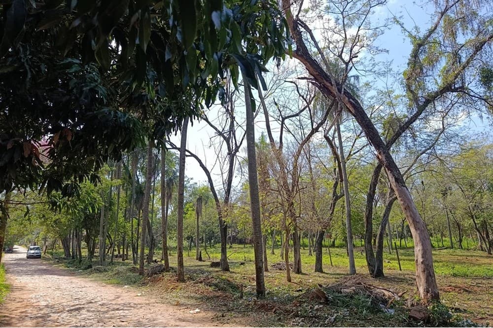 Terreno - Venta - Itauguá, Paraguay, foto 2