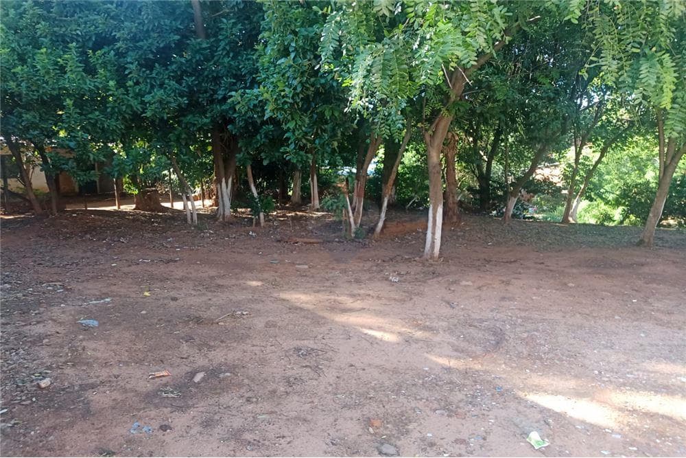 Imperdible oportunidad de tener tu terreno en lambare, foto 3