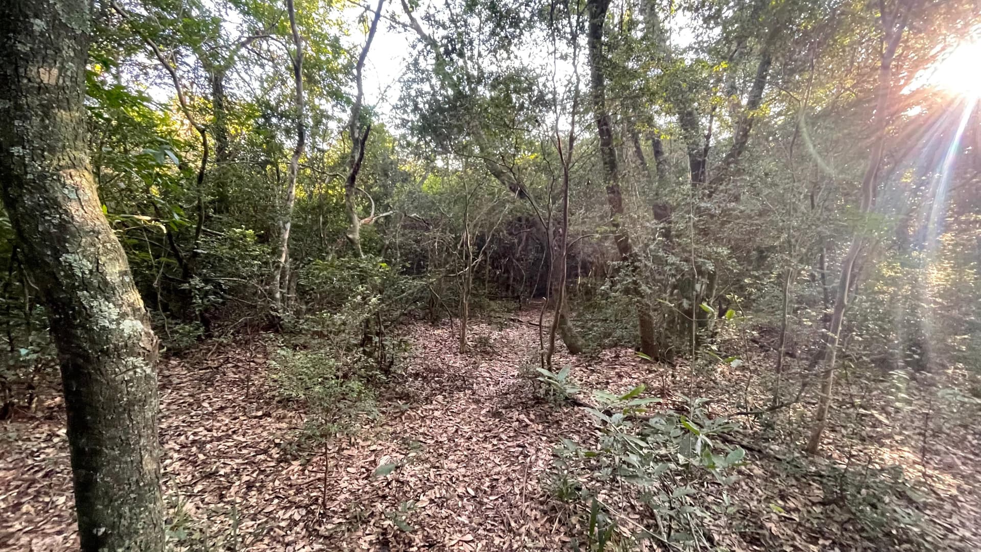 5 Hectáreas Con Casa En Eusebio Ayala A 2,5 Km De Ruta 2, foto 4