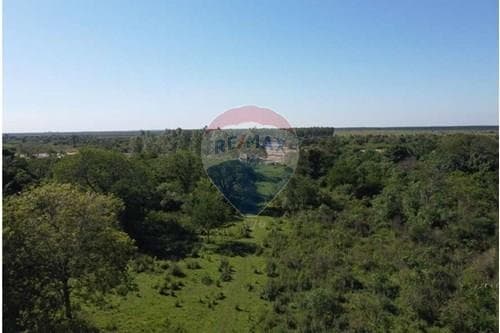 Campo- Arroyos y Esteros- Cordillera, foto 3