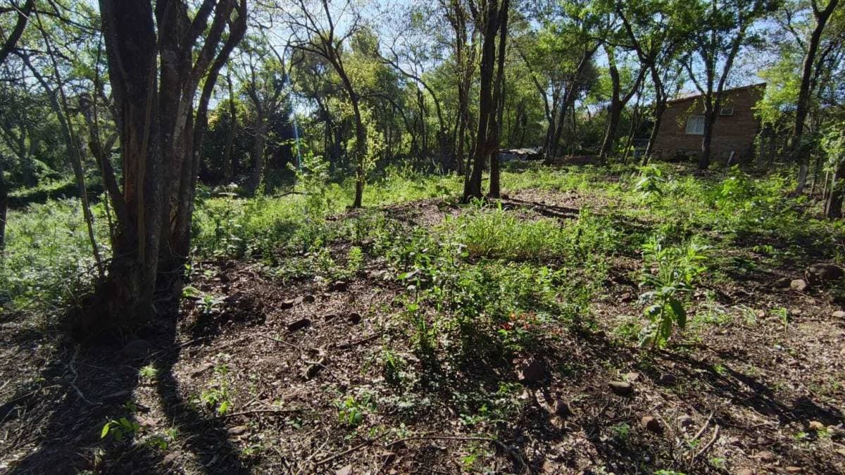 Oportunidad Única: Amplio Terreno en Zona Residencial de Alto Crecimiento Luque, foto 5