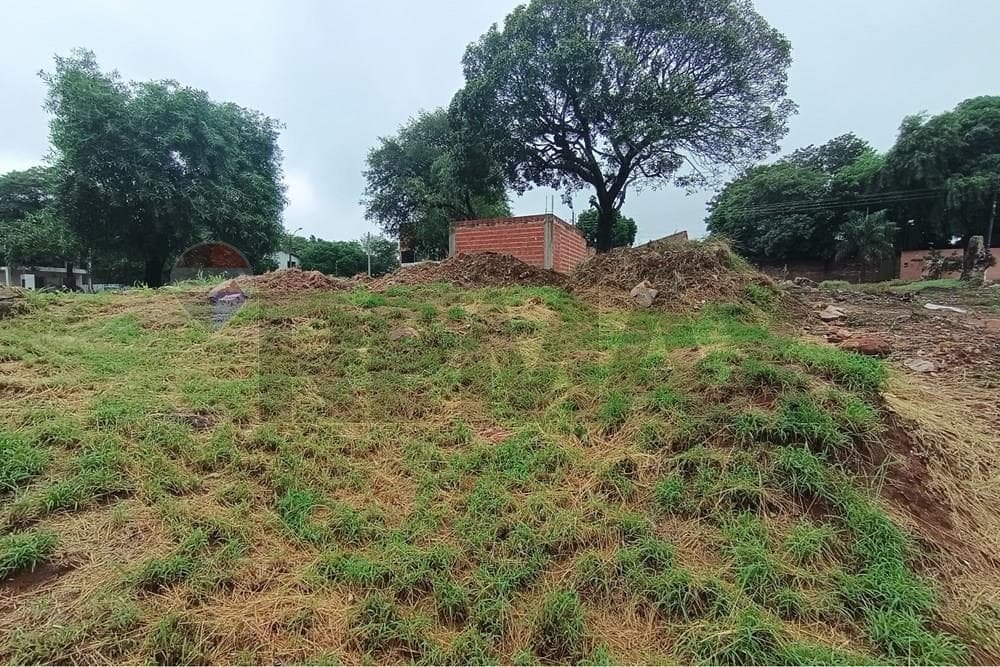 Terreno en lambare zona san roque — foto 3