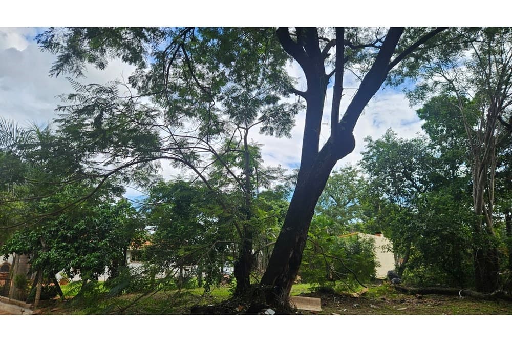 Oferta de terreno en Luque - isla bogado, foto 5