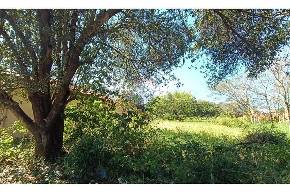 Terreno - Venta - San Lorenzo, Paraguay, foto 4