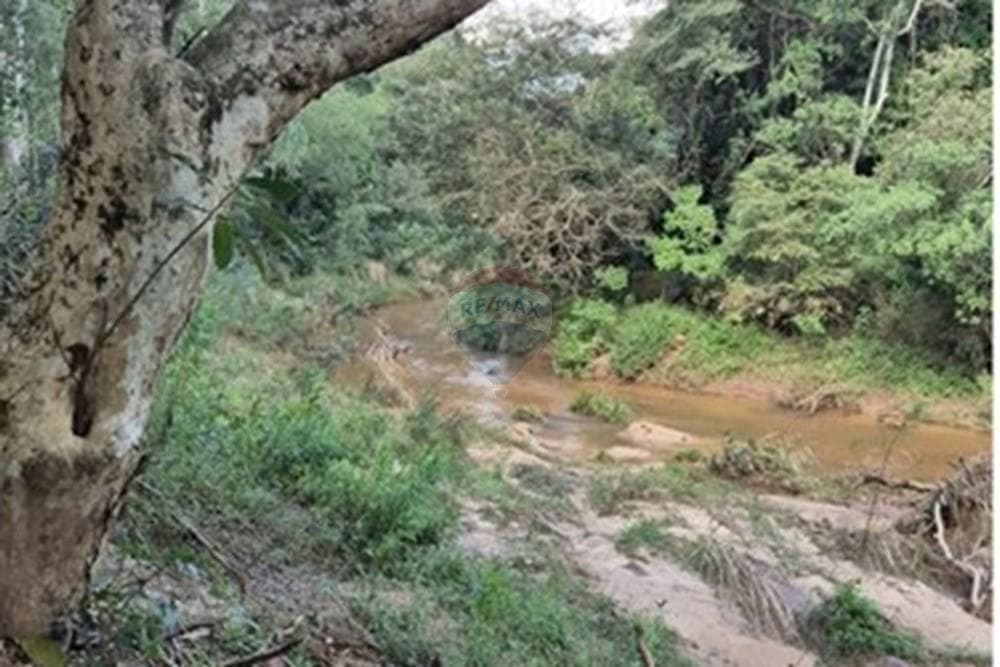 Hectáreas en Eusebio Ayala, foto 3