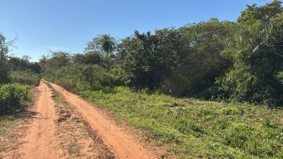 TERRENO en Aregua zona Pindolo, foto 2