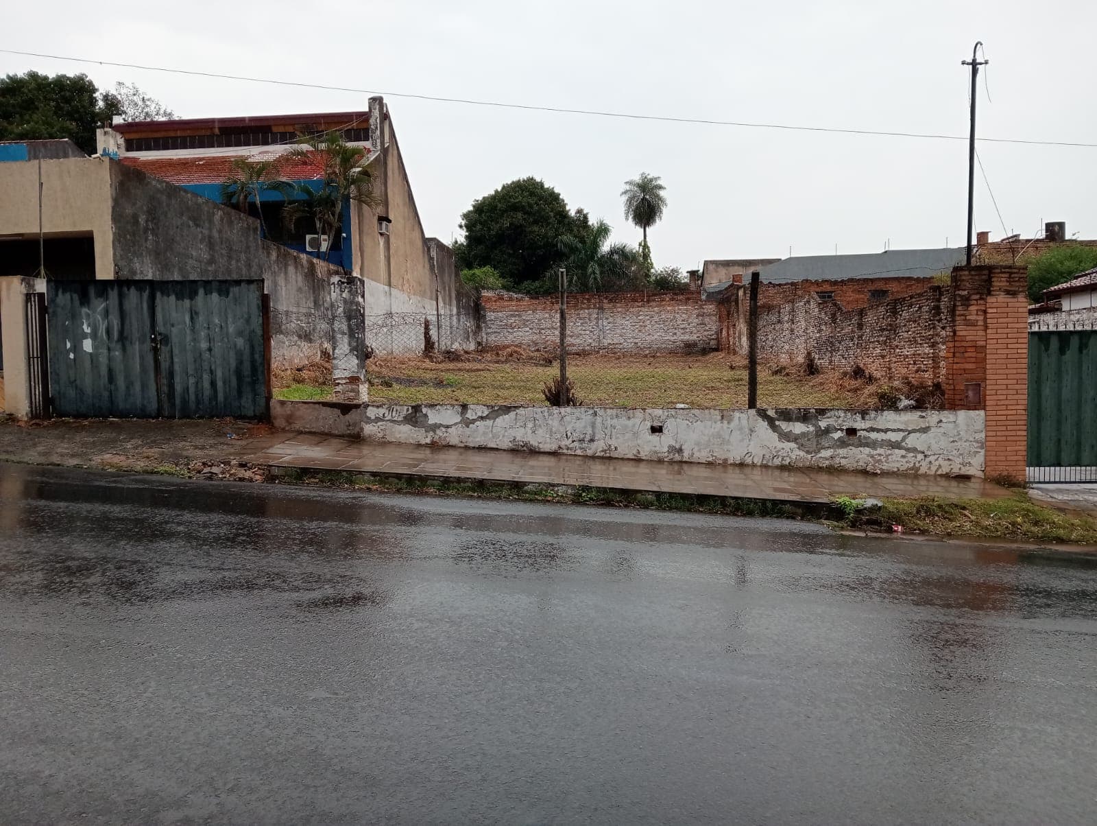Terreno-pettirossi — foto 3