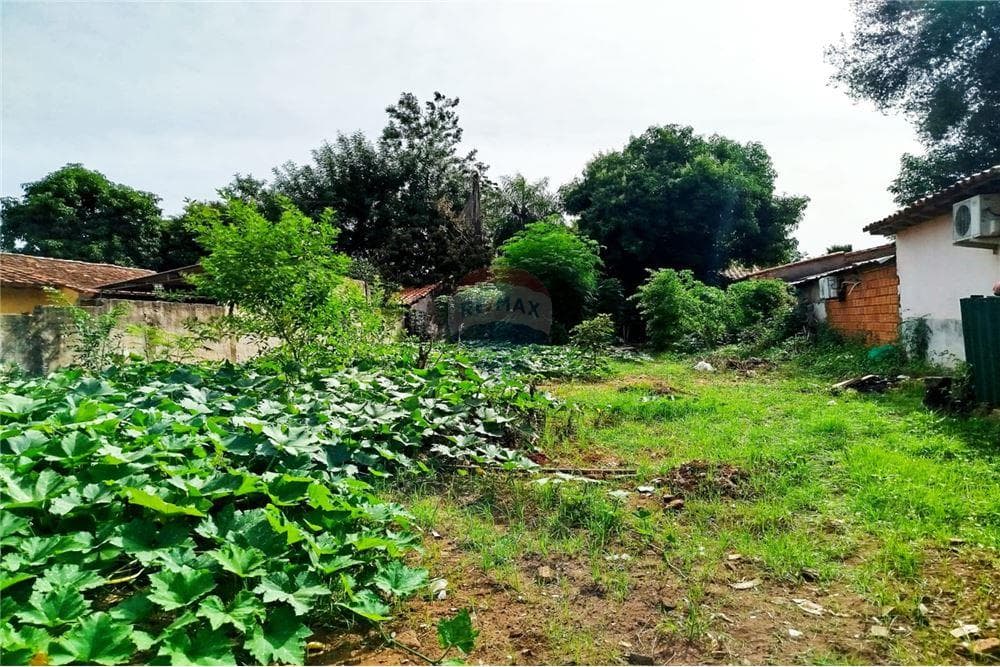 Terreno - Venta - Ñemby, Paraguay