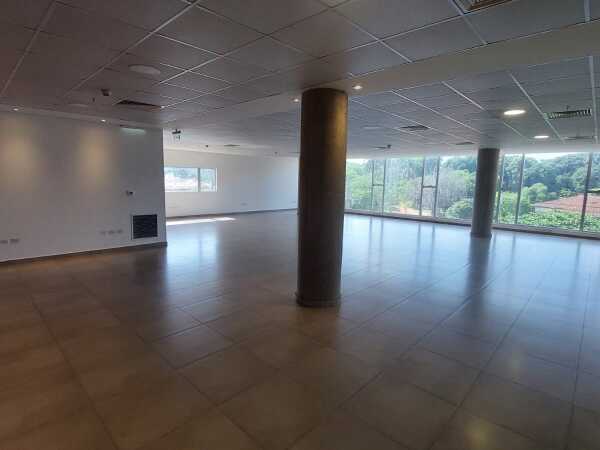 Oficina de 250 m2 en barrio mariscal, foto 3