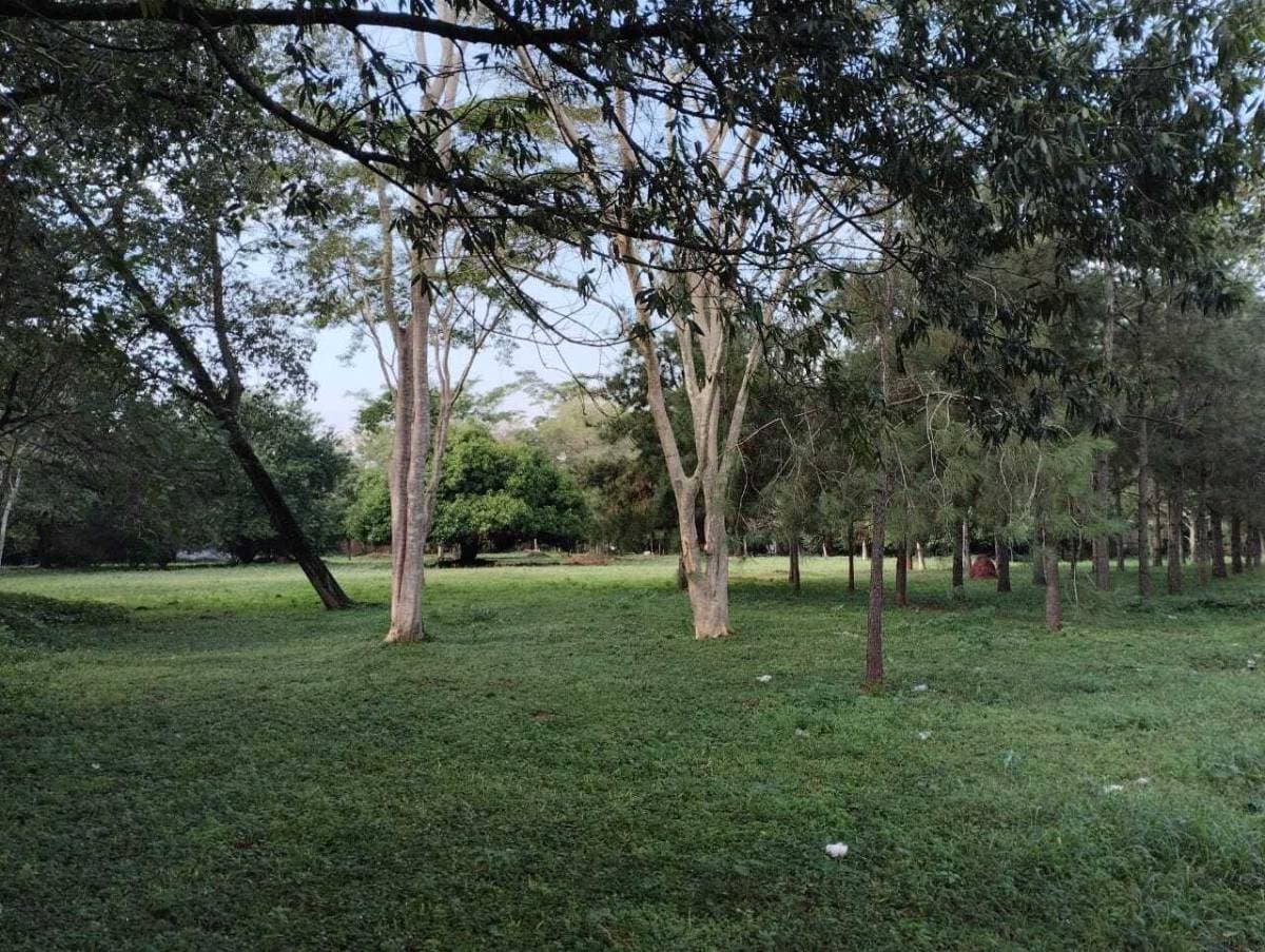 Terreno en Luque, foto 3