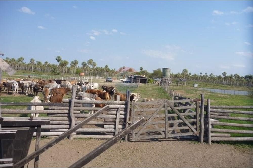 Estancia De 493 Hectáreas En Presidente Hayes, foto 2