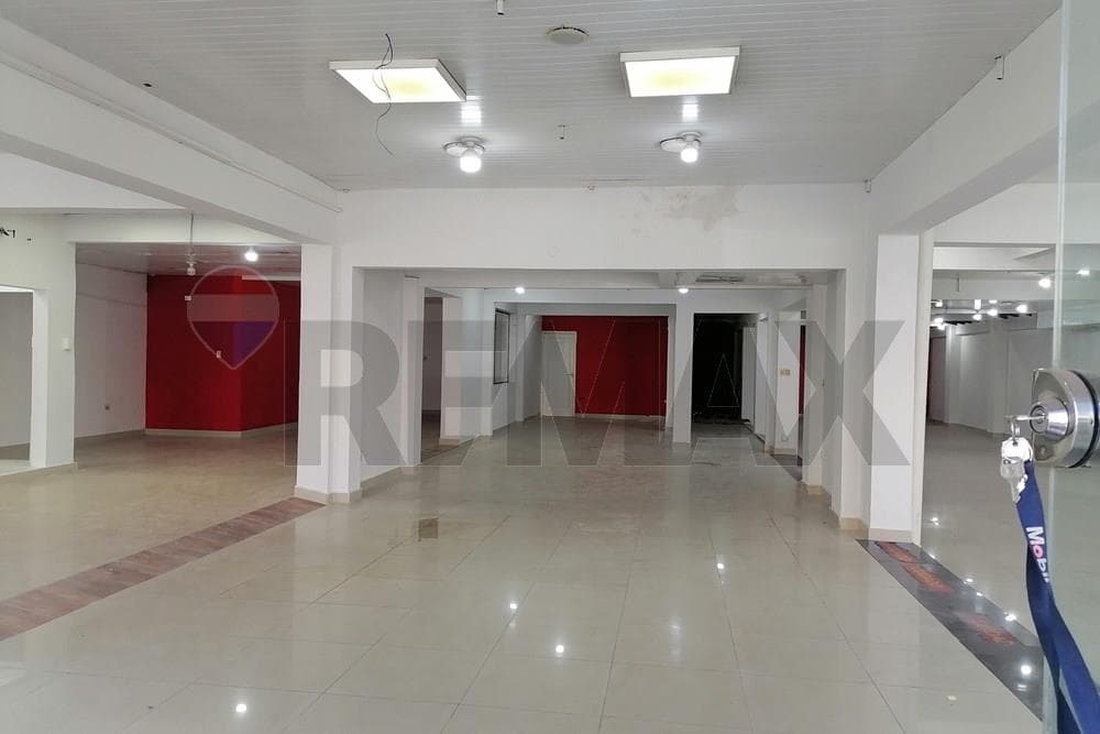 Local Comercial en Alquiler sobre Avda.E.Ayala, foto 4