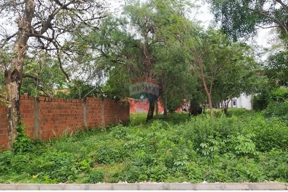 En Venta Terreno Luque, foto 2