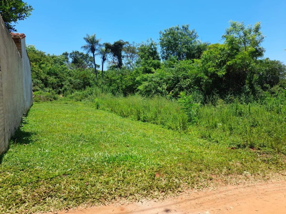 terreno en Zarate Isla, Luque, foto 3