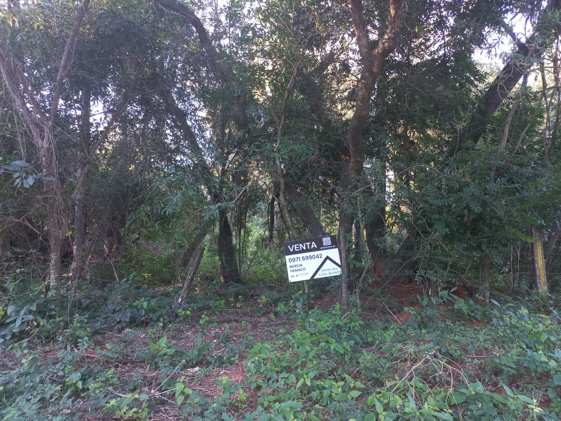 Terreno en Aregua, A 1,7 km del Centro, foto 3