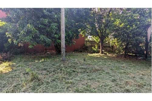 terreno en venta en villa ofelia Fernando de la Mora, foto 5