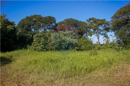 Terreno nivelado de 400 m2 a minutos del centro de Ypané, Costa Alegre, foto 3
