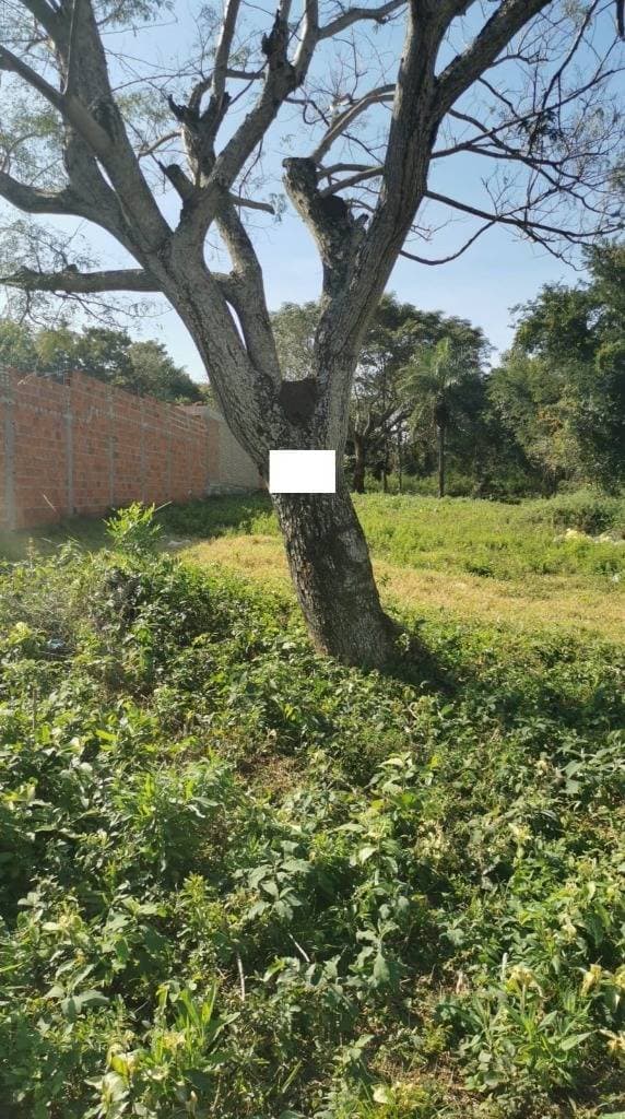 En venta terreno en barrio villa rosita de aregua, foto 2