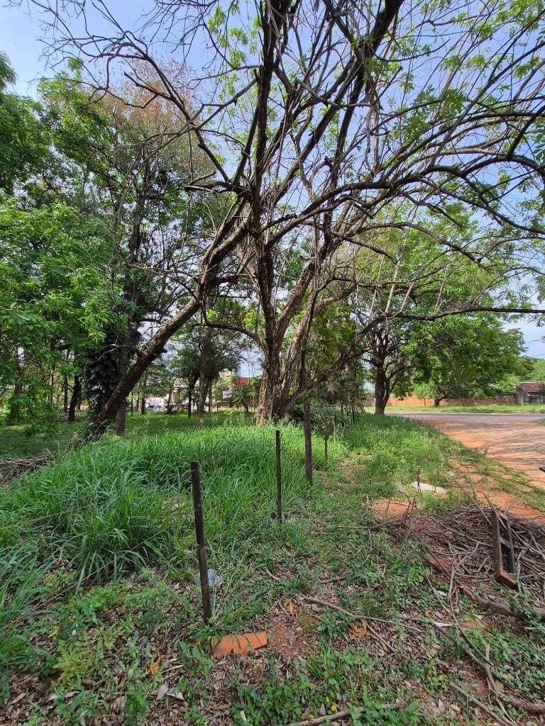 de Terreno en Mariano Roque Alonso, Central, foto 4