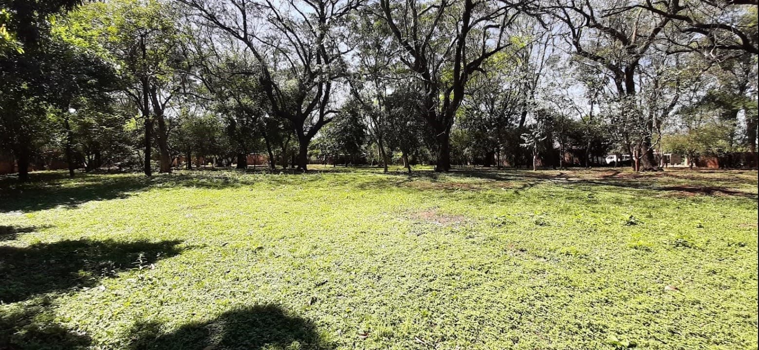 Imponente terreno en Villa Elisa, foto 4