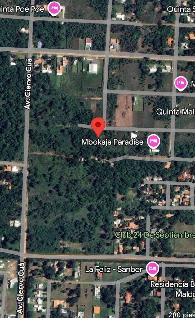 Amplio terreno de 3019 mts2 con frondosa vegetación y un arroyo, foto 3