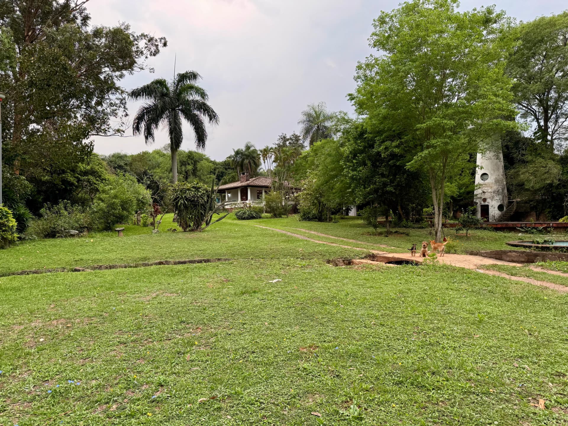 casa quinta de 2.5 hectáreas en Areguá sobre asfalto, foto 5