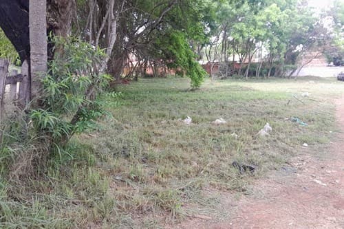 Terreno-Venta-Sauce c/ Herrera, Cerrito, Capiatá, Central, foto 3