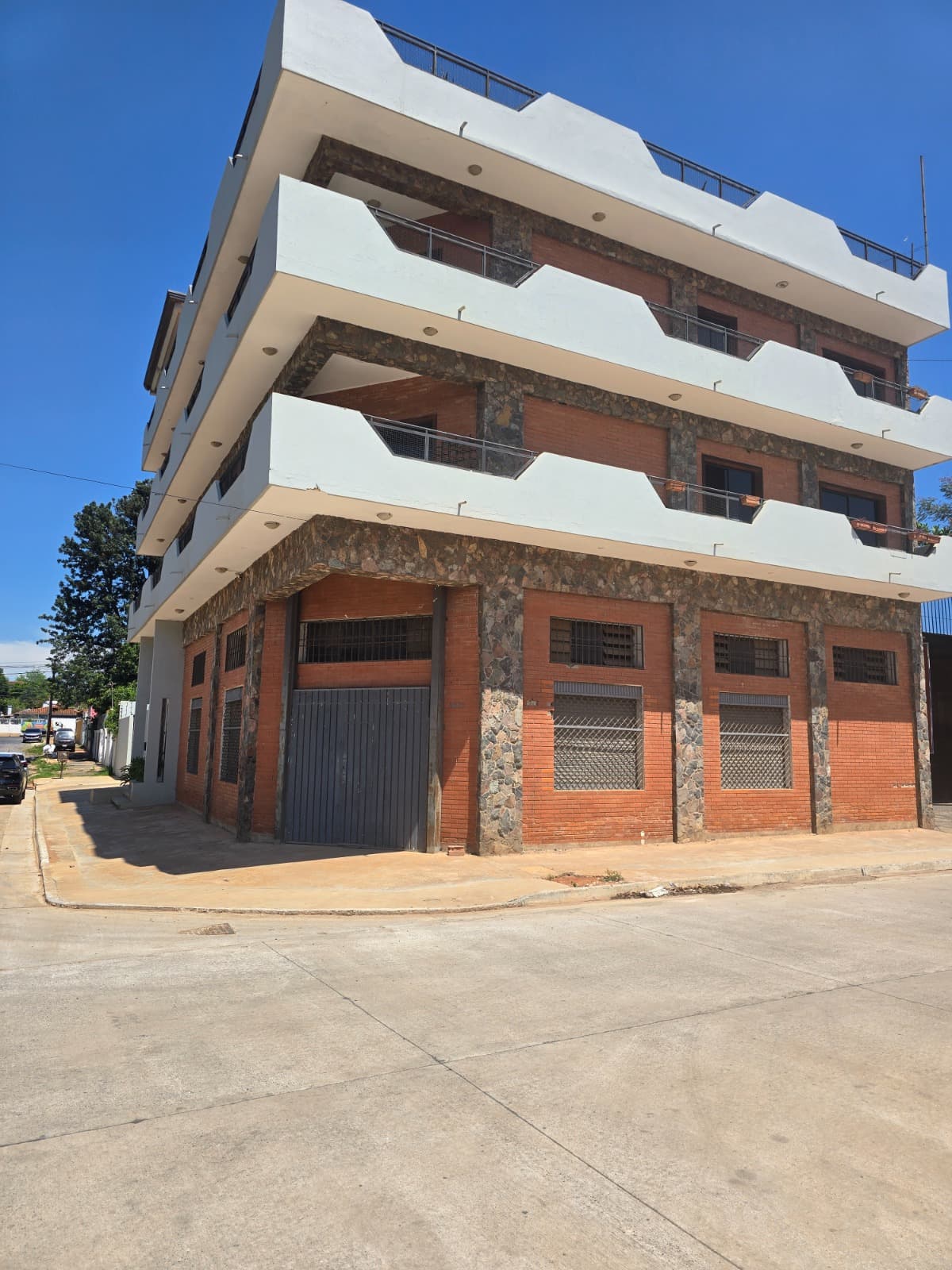 Local comercial 230 m2 zona eusebio ayala y boggiani, foto 2