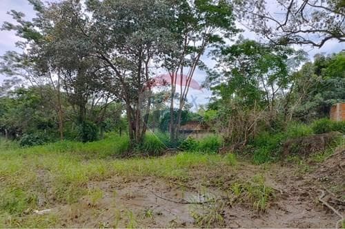Terreno - Venta - Paraguay Central Mariano Roque Alonso, foto 4