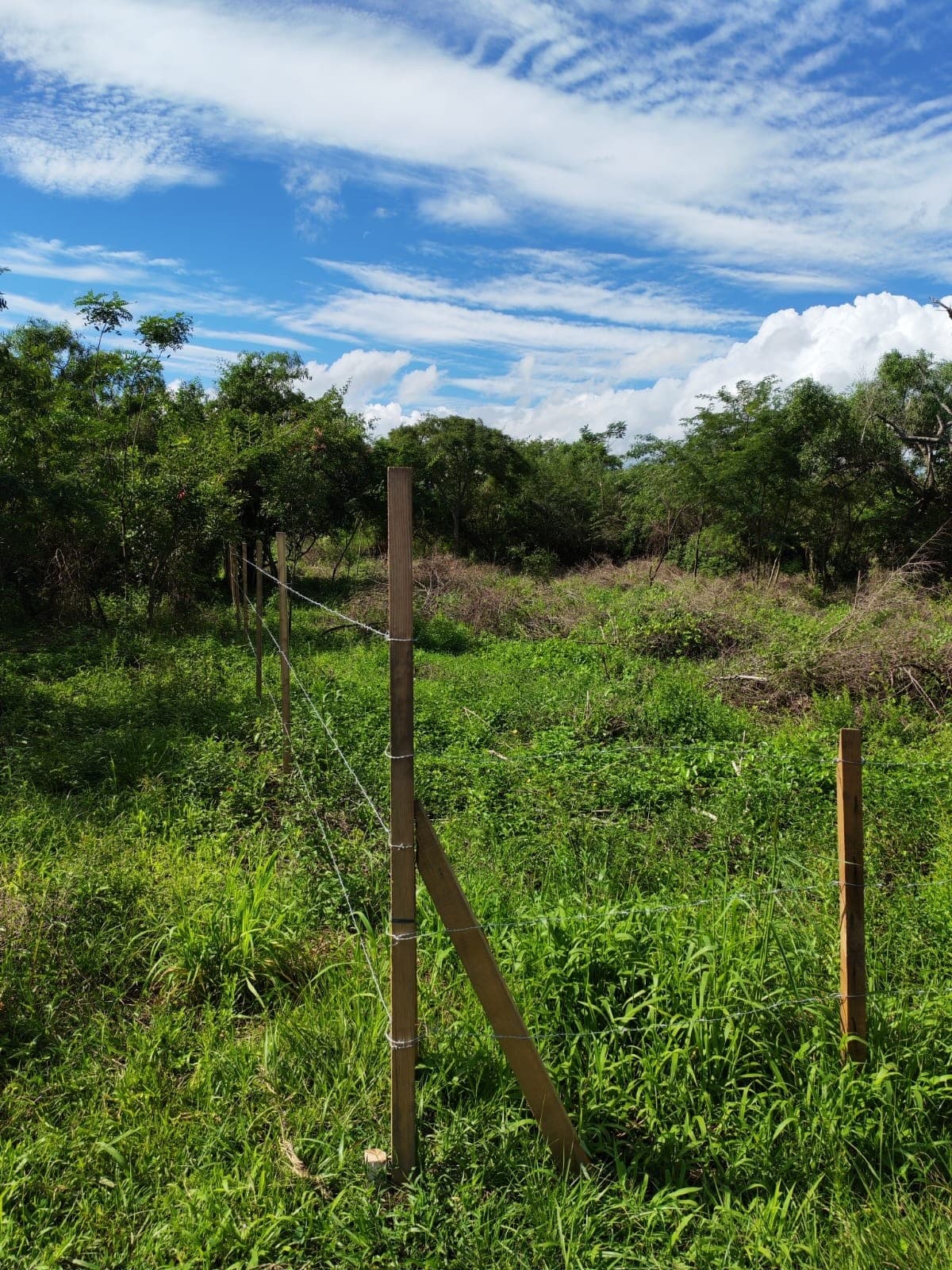 Terreno en guarambare, foto 4
