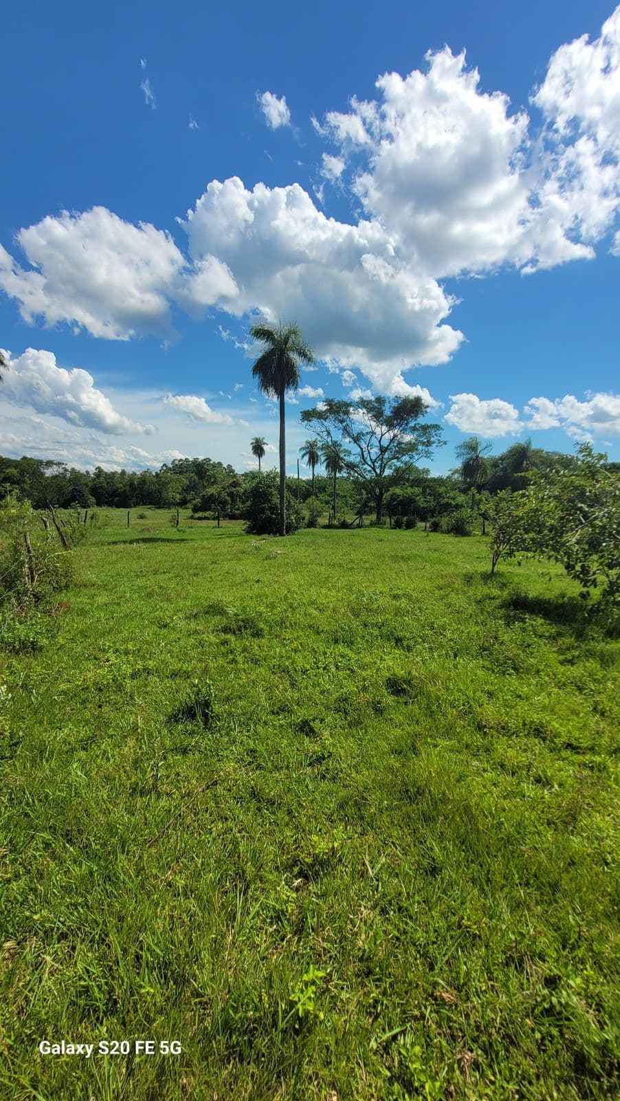 Vendo dos terrenos en San Juan del Paraná