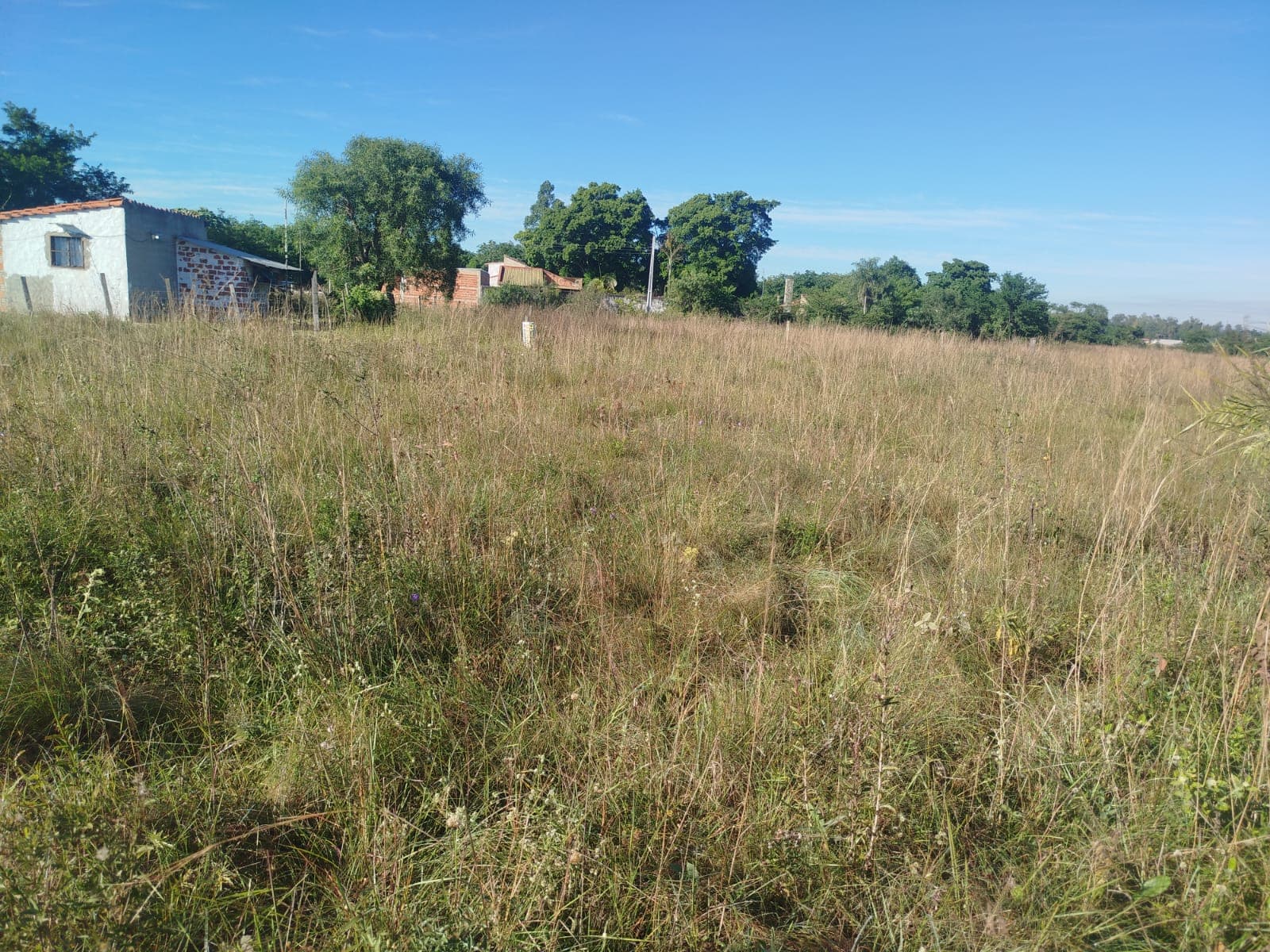 hugua hu, Ypacaraí, Central, foto 1