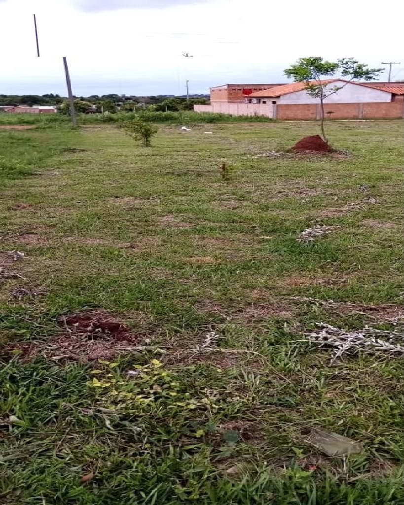 Hermoso terreno nivelado - san ignacio -misiones, foto 2