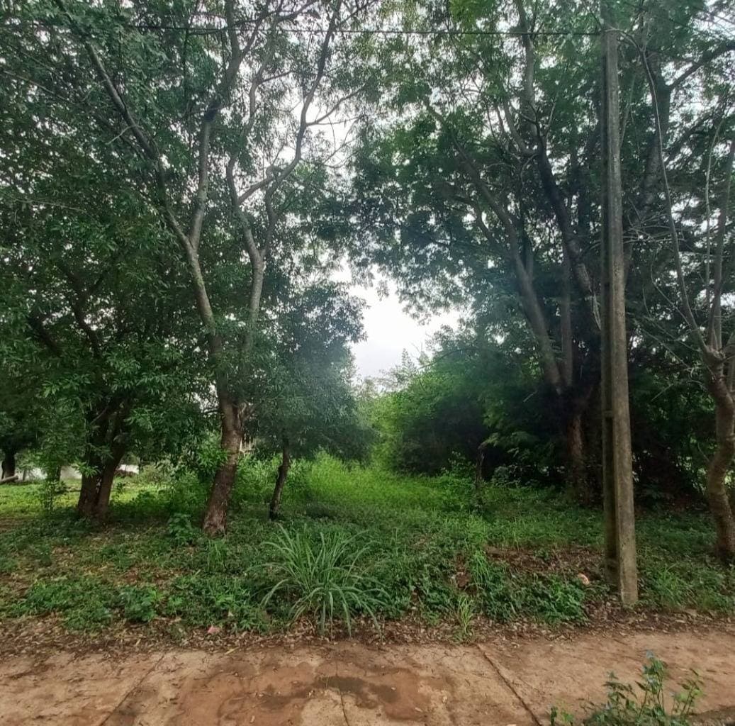 Terreno en barrio quiteria en encarnacion, foto 1