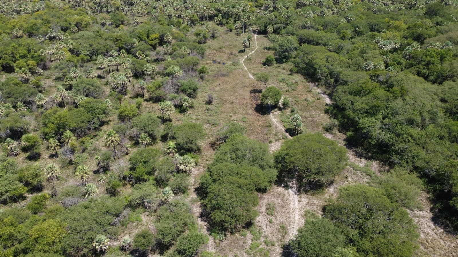 Estancia Ganadera de 2,895 Hectáreas en Benjamín Aceval — foto 2