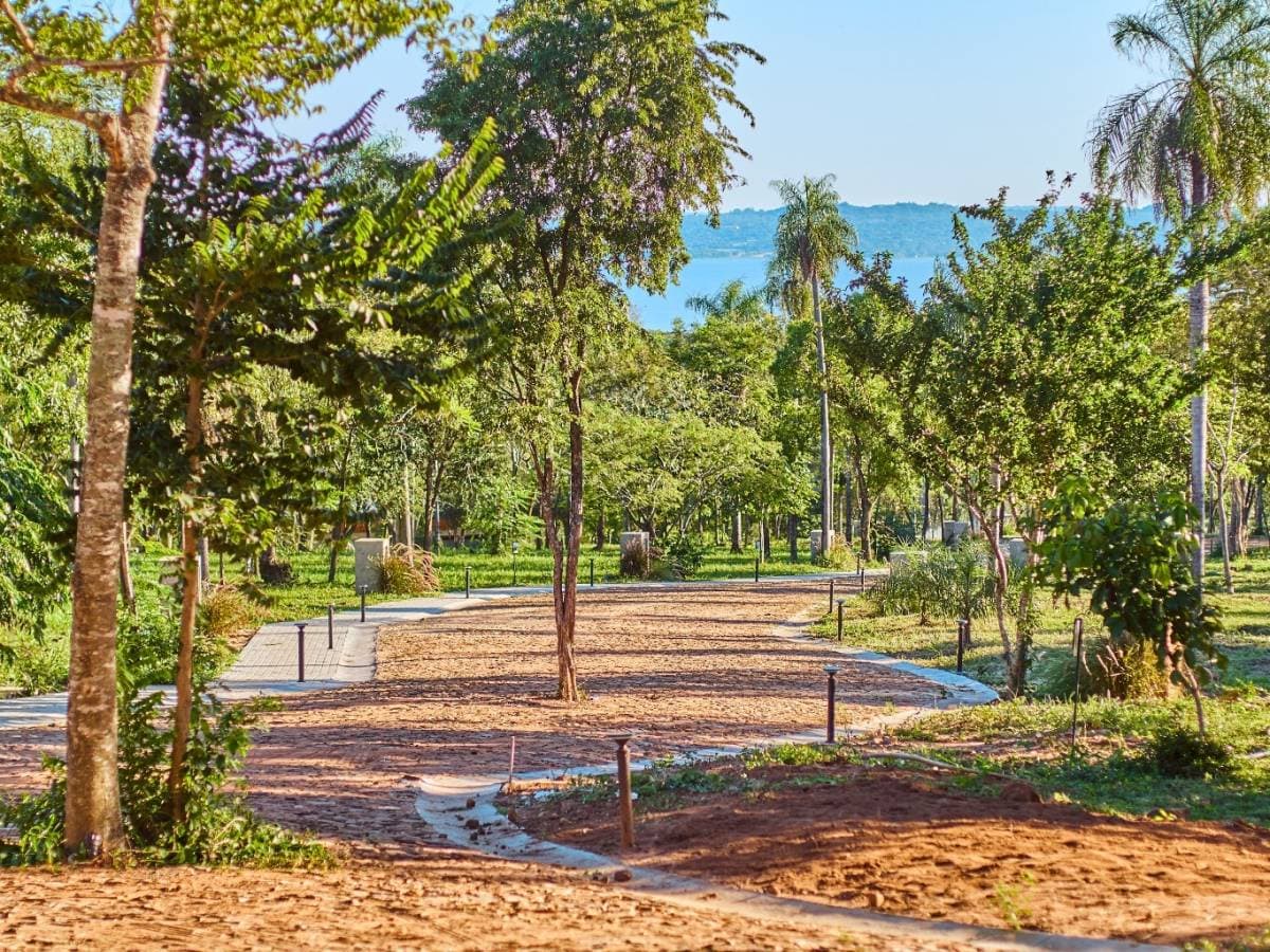 Terreno en barrio cerrado madre selva -San Bernardino, foto 2